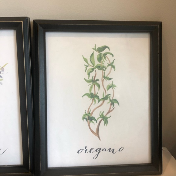 Set of 4 8x10 Herb Prints - Picture 4 of 7
